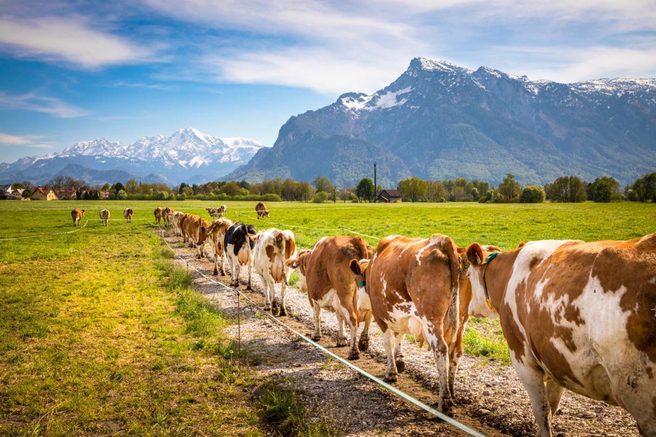 Ferienhaus Schlagerbauer Biohof Salzburg Exteriör bild