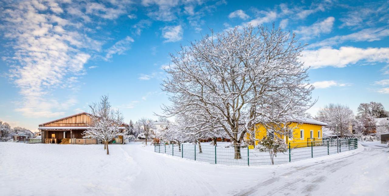 Ferienhaus Schlagerbauer Biohof Salzburg Exteriör bild